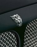 pic for Jaguar Xjr